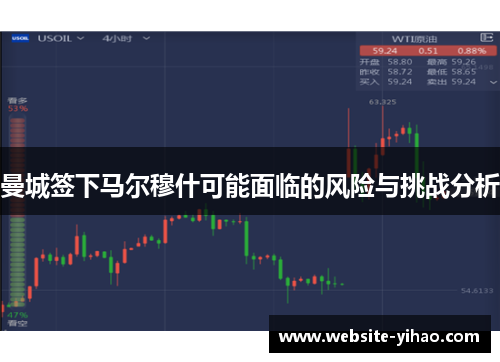 曼城签下马尔穆什可能面临的风险与挑战分析