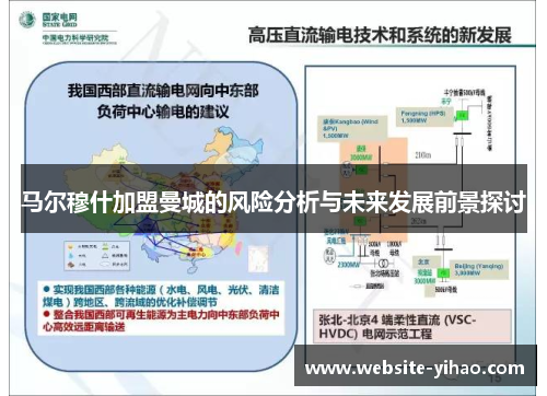 马尔穆什加盟曼城的风险分析与未来发展前景探讨